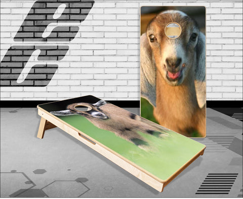Goats Cornhole Boards