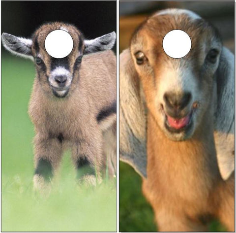 Goats UV Direct Print Cornhole Tops