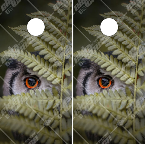 Owl eye Cornhole Wrap