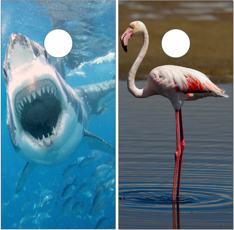 Shark Flamingo UV Direct Print Cornhole Tops