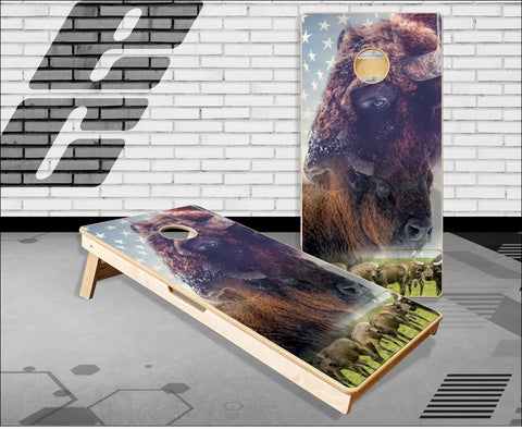 Wild Buffalo Cornhole Boards